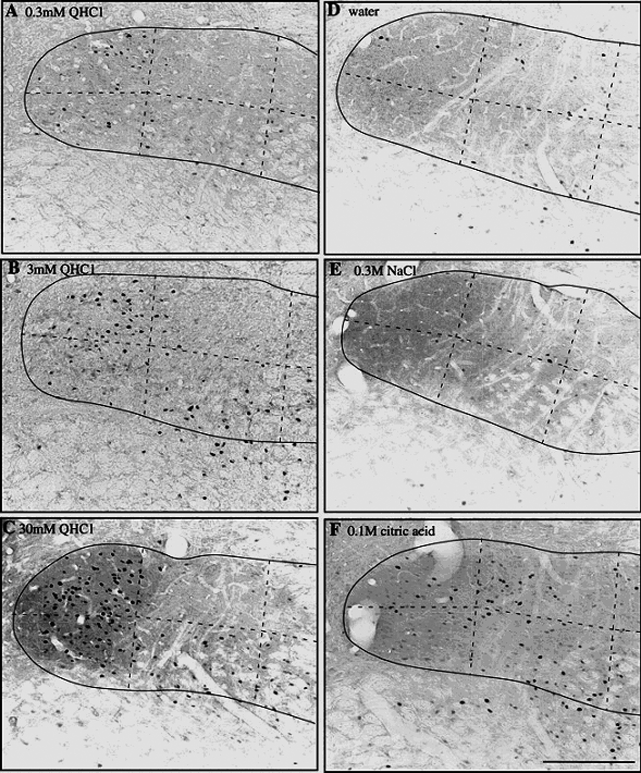 Fig 5